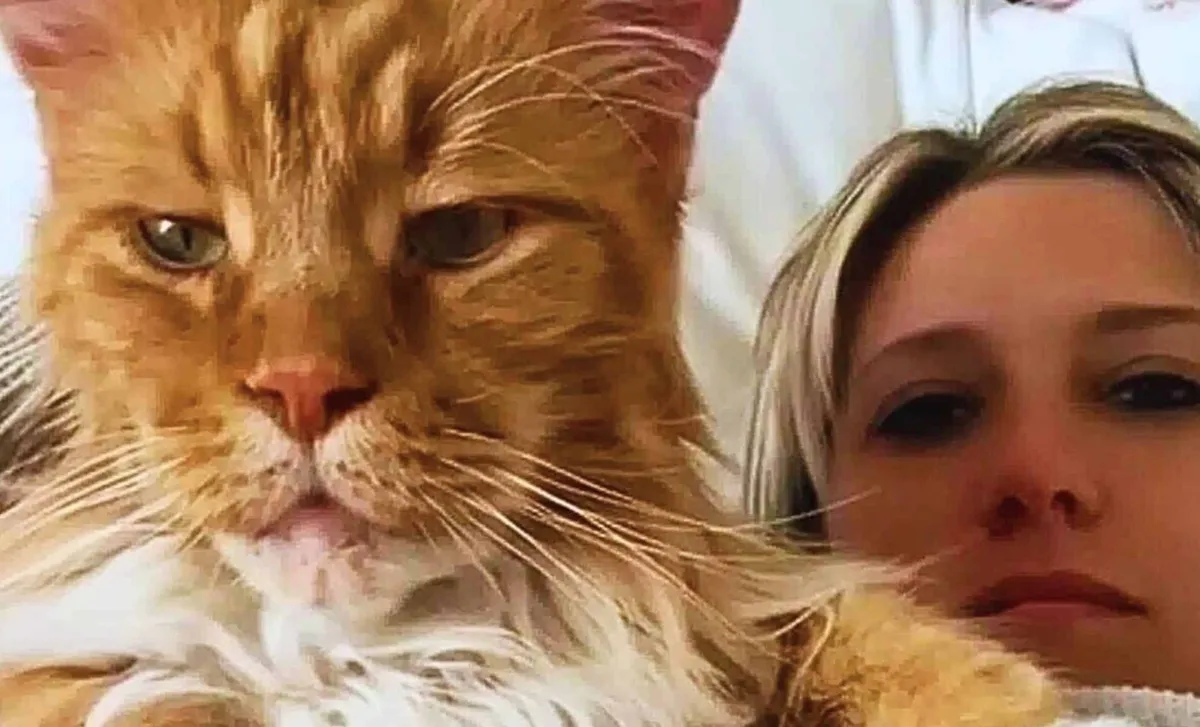 Finn: der sanfte Riese aus San Carlos