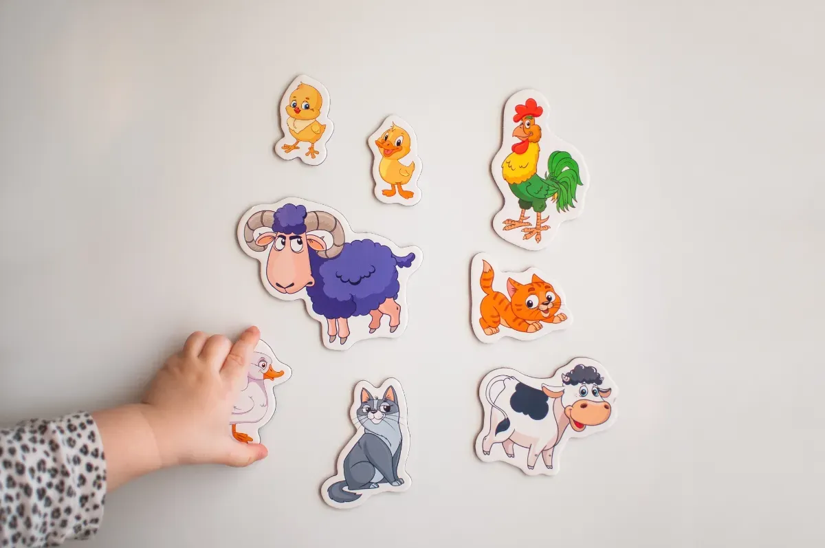 Was Magneten am Kühlschrank wirklich tun