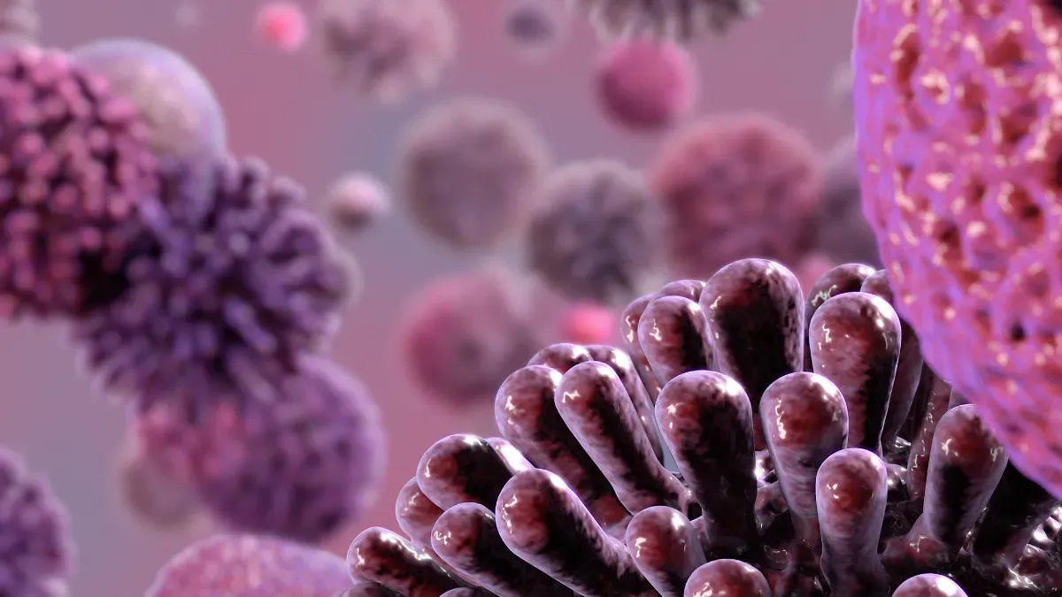 Darm und Parkinson: was die Forschung jetzt zeigt