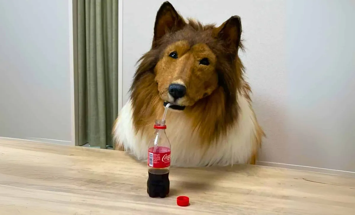 Traum im Tierkostüm: ein ungewöhnlicher Zoo in Japan