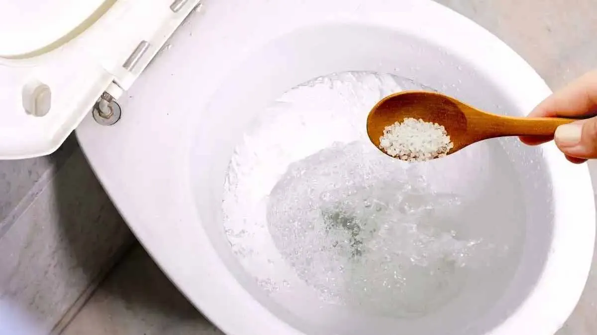 Mit grobem Salz zu einer frischen Toilette – ein einfacher Haushaltstrick